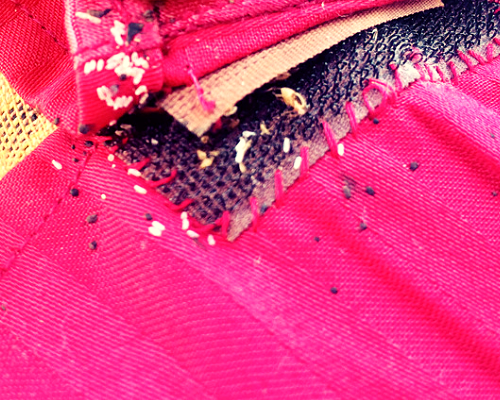 jaja pluskwy, larwy i dorosłe pluskwy na zszyciu tapicerki łóżka